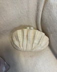 SALE - The Origami Scallop - Sand