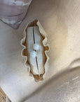 SALE - The Origami Scallop - Sand