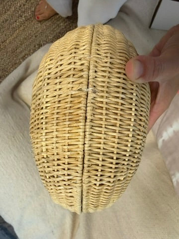 SALE - The Anna Conch