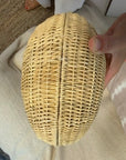 SALE - The Anna Conch