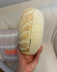SALE - The Anna Clutch - Sand